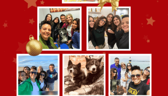 Red And Gold Simple Christmas Photo Collage Red And Gold Simple Christmas Photo Collage